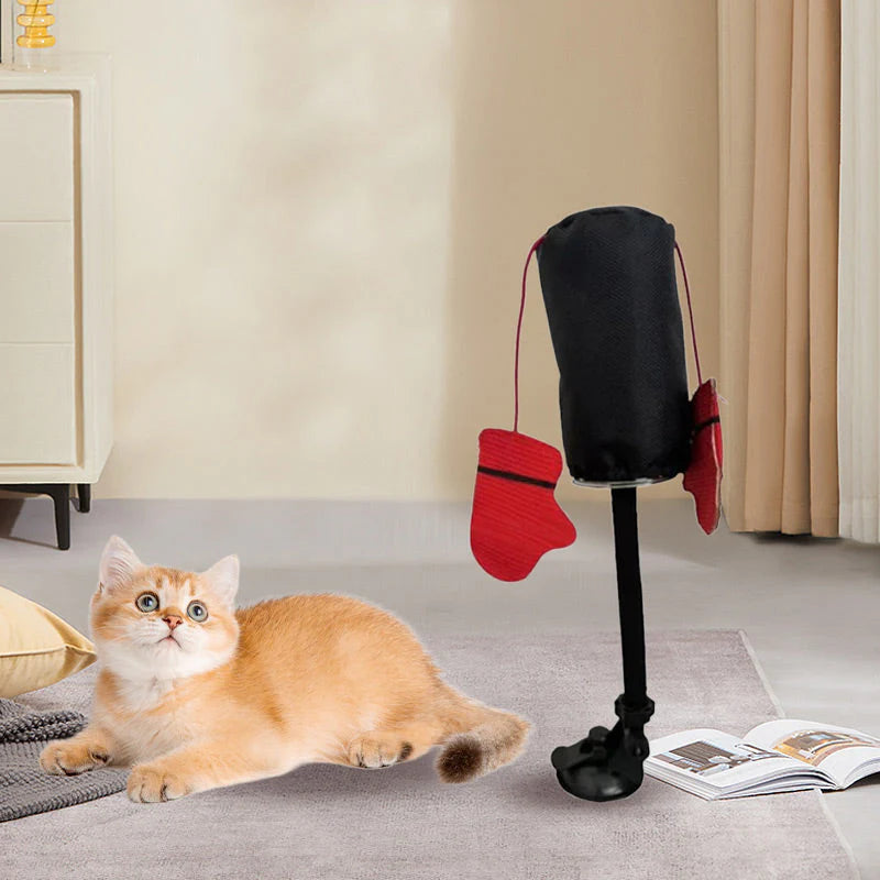 🐾🥊Interactive Boxing Ball Toy for Cats – Stable Indoor Play Toy for Active Cats & Kittens