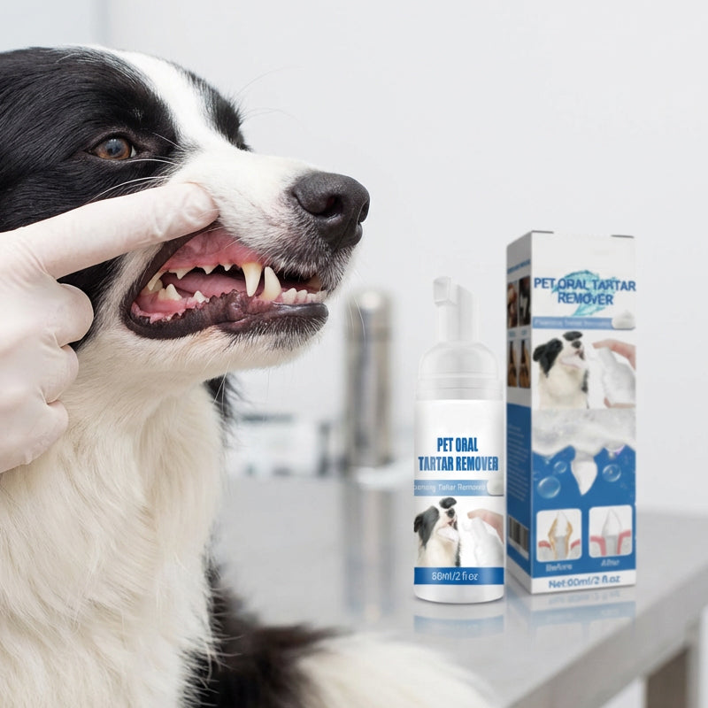 🌞Spring Awakening: Special Offers!🐾 Foaming Tartar Remover for Pets – Natural Formula & Easy to Use!