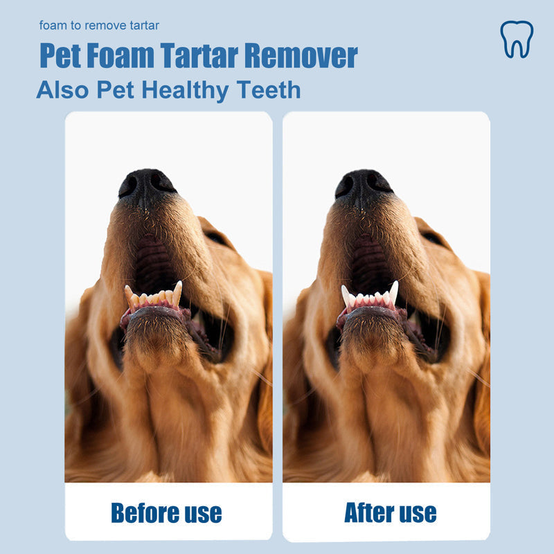 🌞Spring Awakening: Special Offers!🐾 Foaming Tartar Remover for Pets – Natural Formula & Easy to Use!