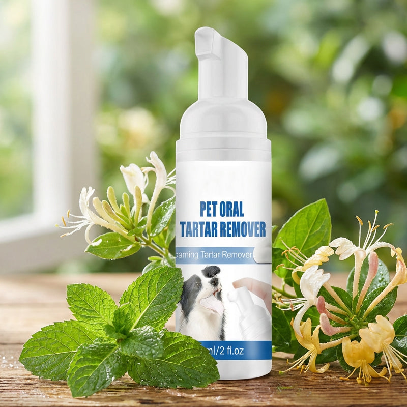 🌞Spring Awakening: Special Offers!🐾 Foaming Tartar Remover for Pets – Natural Formula & Easy to Use!