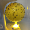 Sticky Fruit Fly Trap Ball with Stand & LED