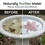 📢📢LAST DAY SALE 50% OFF⏳🍁Universal Fit Bird Bath Purifier